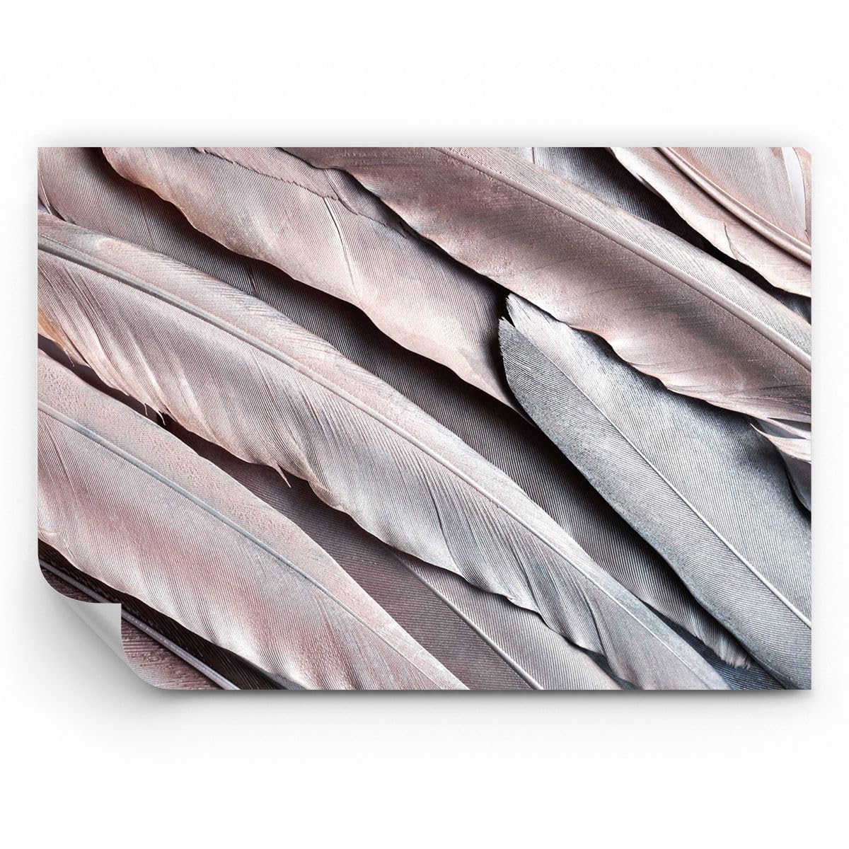 Papier Peint Vinyle Panoramique 450x315 cm Premium Canvas Autres 5114 WF3