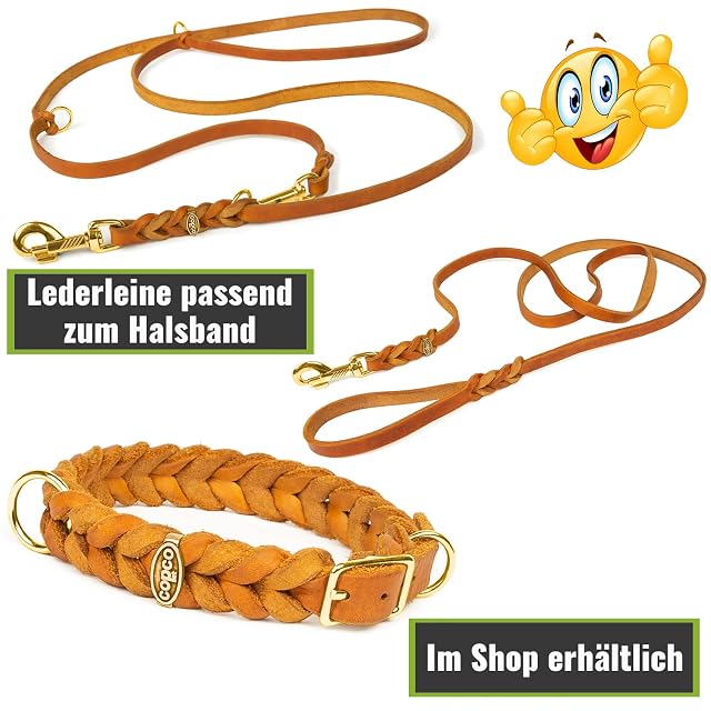 Foto 6 de 6 de Collar de perro Copcopet de cuero trenzado con hebilla, collar de perro trenzado, hecho a mano en Alemania
