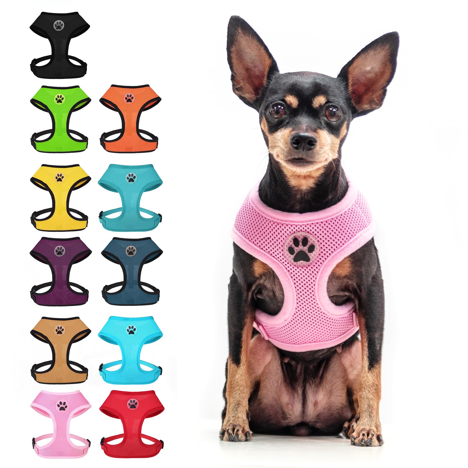 BINGPET Small Dog Harness, No Pull Dog Harness Small Sized Dogs, Soft Light Breathable Mesh Puppy Vest with Safety Buckle-Adjustable Step in Pet