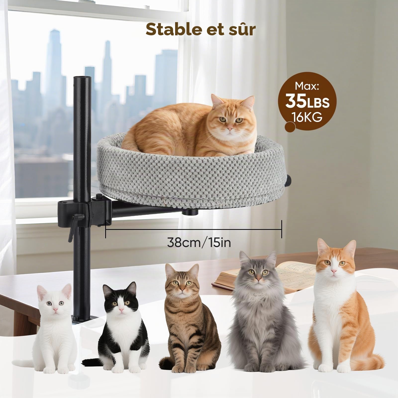 Lit pour Chat pour Bureau – Rotatif à 360°, Anti-pincement et Peu encombrant, Motif Ananas (XL, Gris foncé)