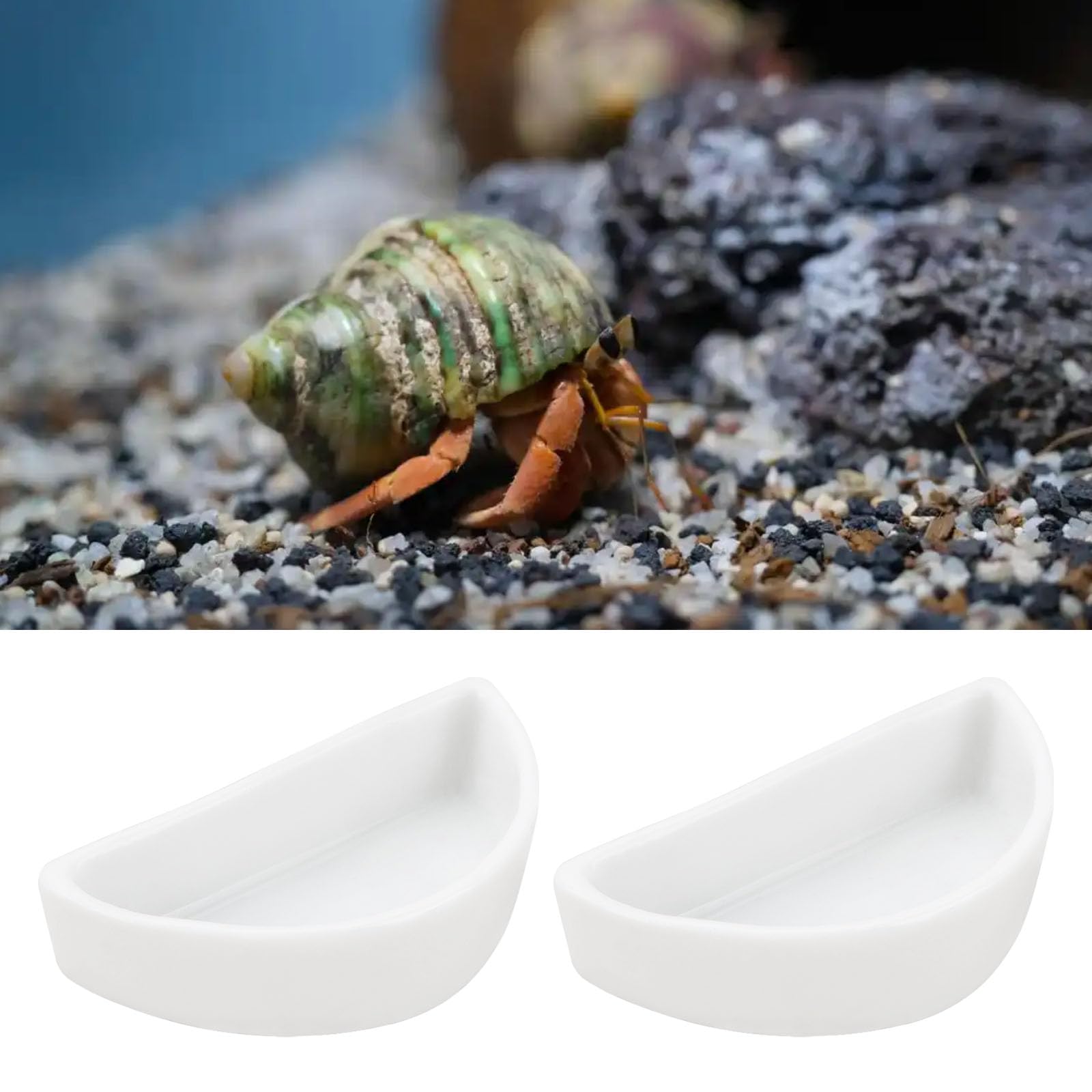 ECSiNG 6 Pezzi Mini Piatto in Ceramica Granchio Eremita 4,21x2x1,05 Cm Semicerchio Forma Ciotola per Cibo per Rettili per Ragno Granchio Eremita Tarantola Millepiedi Bianco