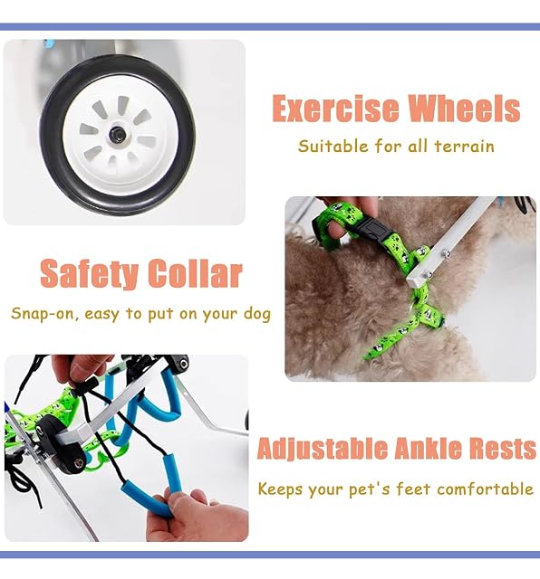 Foto 6 de 7 de Silla Ruedas Perro Silla de Ruedas para Gatos Pequeños con Patas Traseras