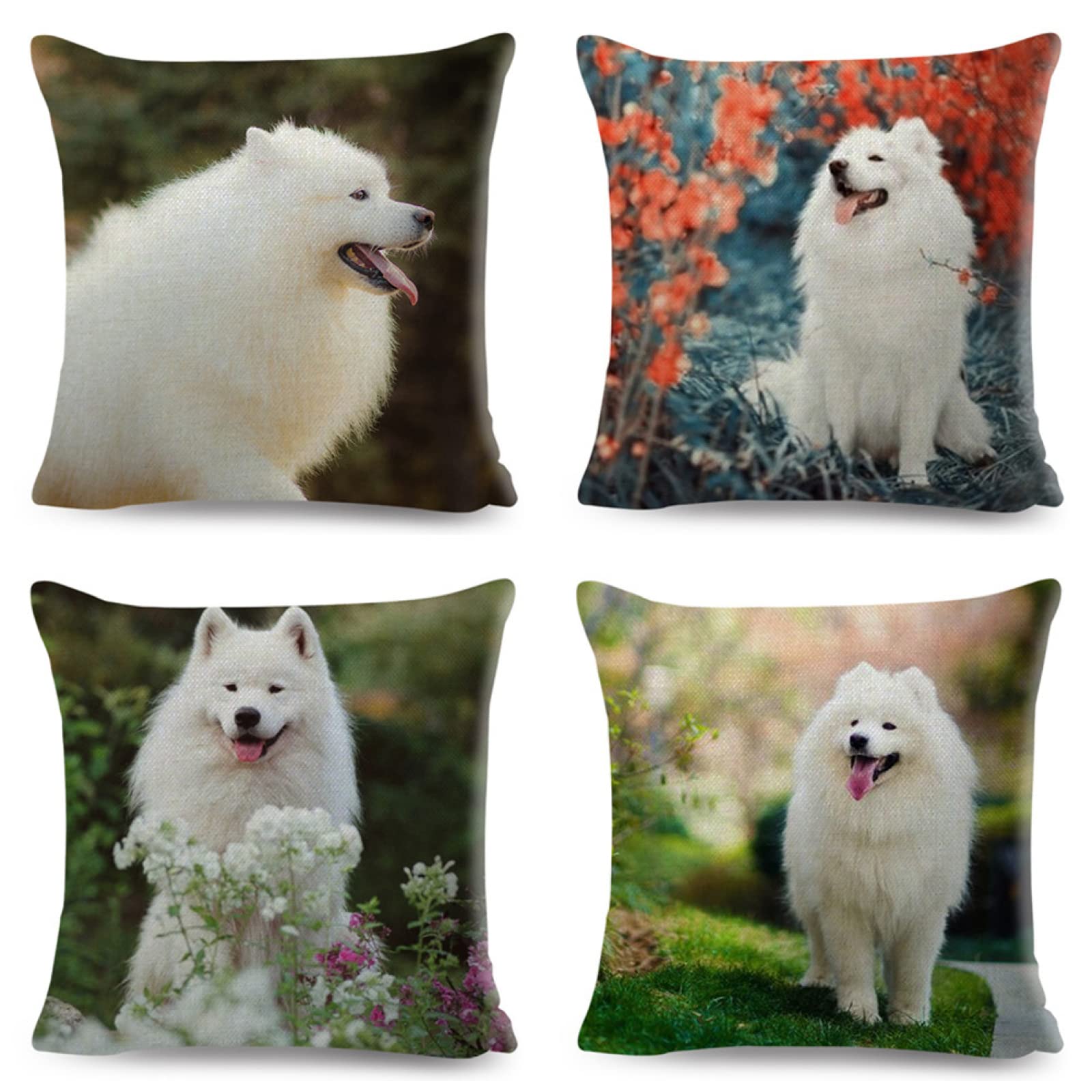 Cuscini, Cuscini Divano, Copricuscini, Fodere Cuscini, Federa Cuscino, Cuscini Decorativi, Cuscini per Divano, Cuscini Letto, Federe Cuscini Divano, Cuscino da Divano, 4 Pezzi Cane 65x65 D5750
