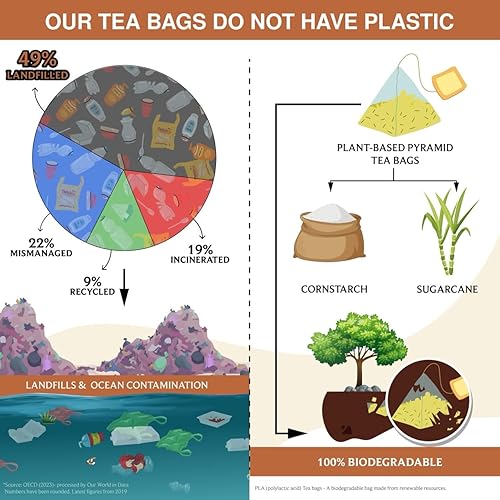 Miniatura 3 de BREWIX, Masala Chai - Bolsas de té (50 bolsas de té piramidales) fuertes, robustas y picantes, ingredientes puros, té negro, canela, jengibre,