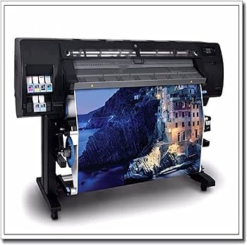 Amazon.co.jp: ブリジット・ライリー・ポスター ブリジット・ライリー