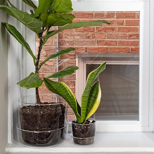 Miniatura 4 de Maceta de cristal transparente con agujeros de drenaje y bandeja, decorativa y moderna para todas las plantas de casa (4 pulgadas)