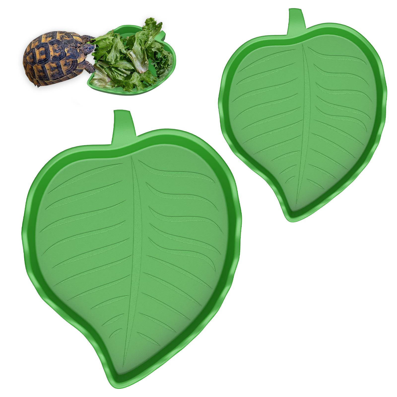 Pawfly 2 Pcs Leaf Reptile Water Dish - terrarium bowls | Mubboo