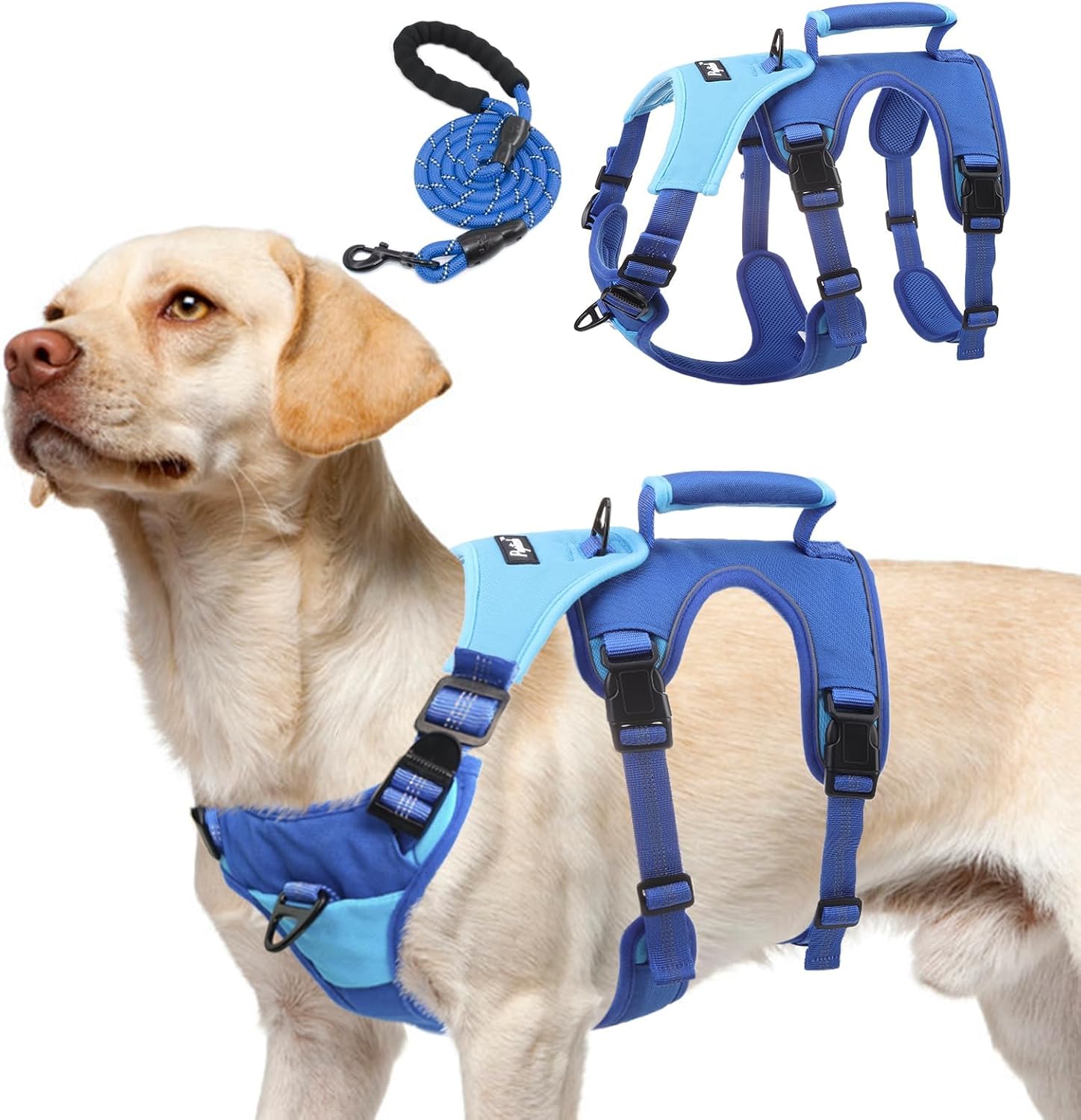 PUPTECK Escape Proof Dog Harness and Leash Set Upgraded No Pull Reflective Dog Vest with Lift Handle, Easy Control Pet Harness for Medium Large Dogs Training Walking Running