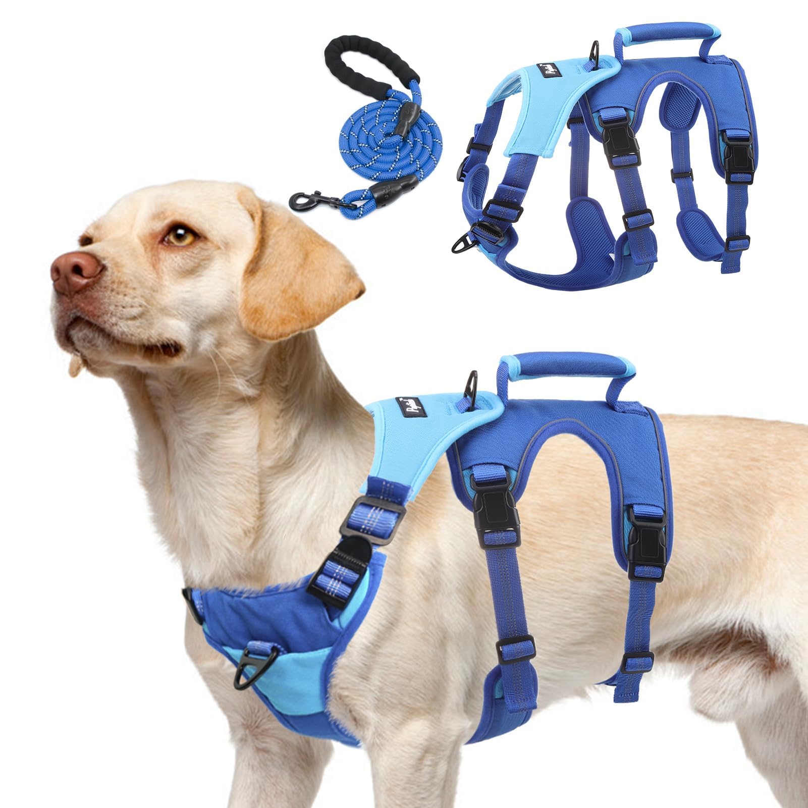 PUPTECK Escape Proof Dog Harness and Leash Set Upgraded No Pull Reflective Dog Vest with Lift Handle, Easy Control Pet Harness for Medium Large Dogs Training Walking Running, Blue, L