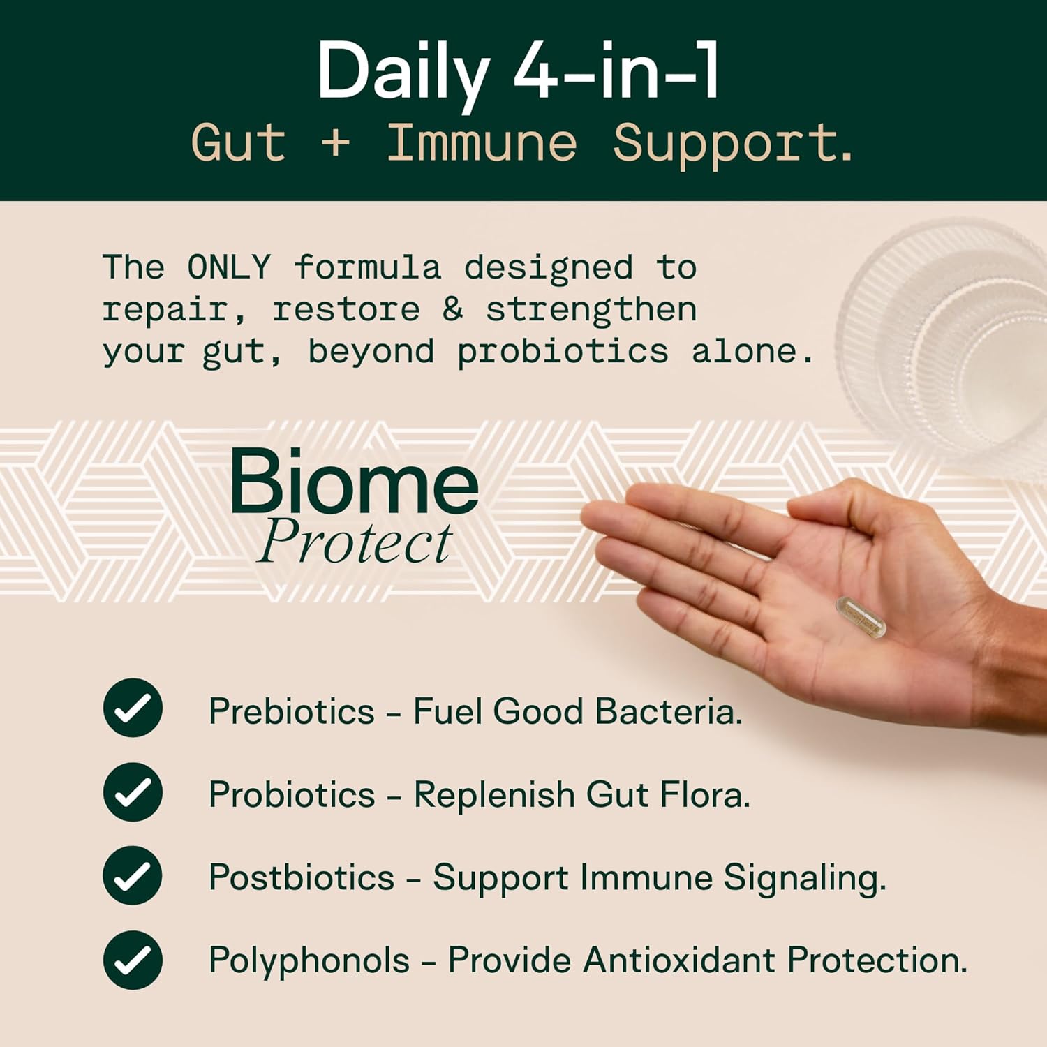 Adapt Naturals 4-in-1 Biome Protect Prebiotics, Probiotics Supplement Postbiotics & Polyphenols for Microbiome, Gut Health & Defense for Women & Men, 30 Day Supply - Image 2