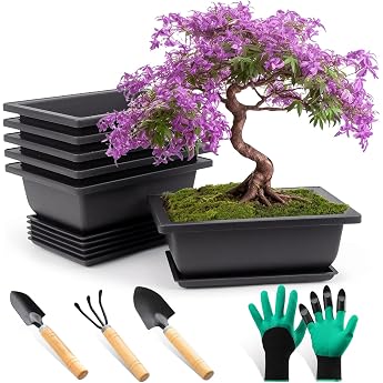 Bonsai Bowl with Saucer Plastic Deep Flower Pot Pack of 6