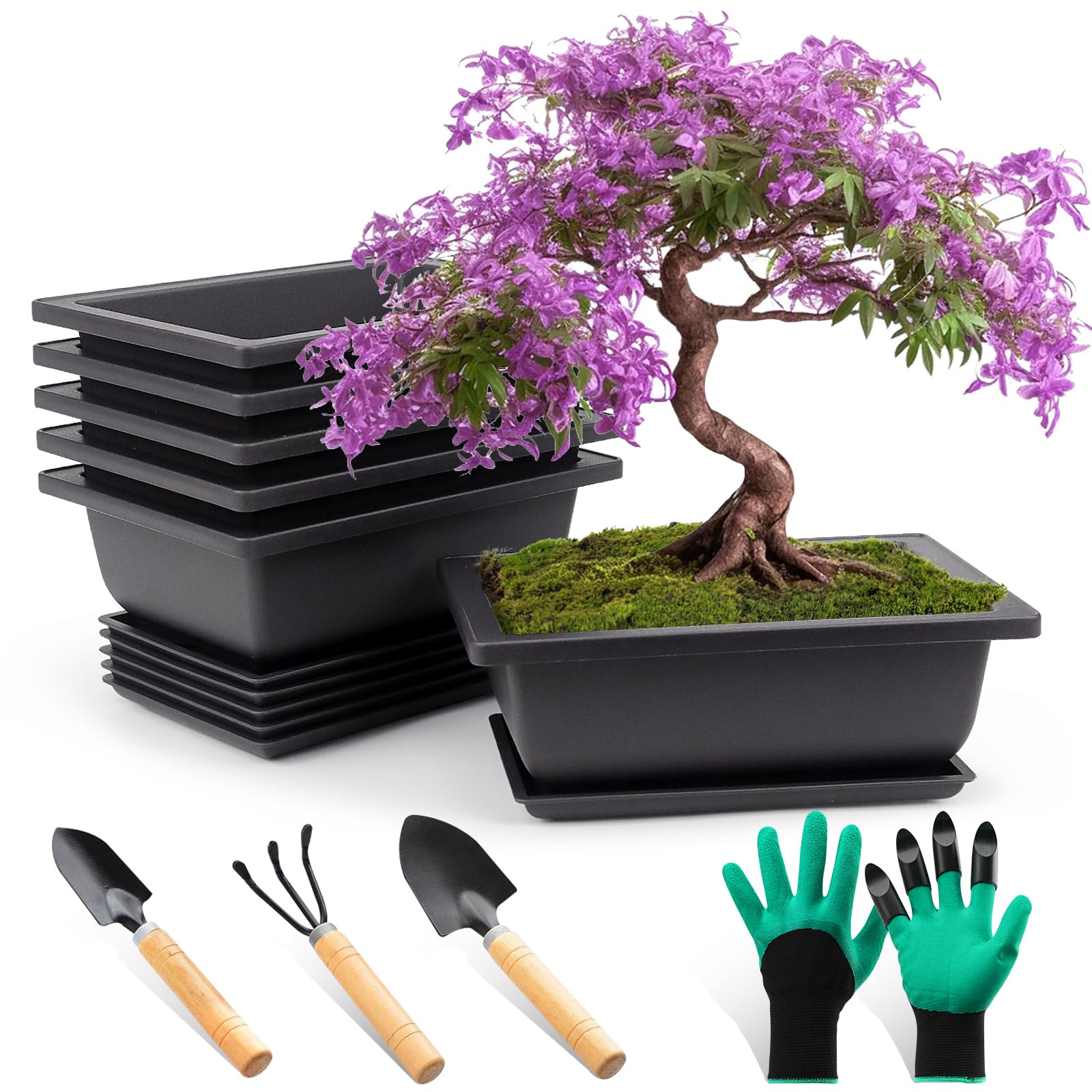 6 cuencos para bonsái con posavasos, maceta para bonsái, maceta de plástico profunda, para jardín, plantas, patio, sala de estar, balcón, oficina