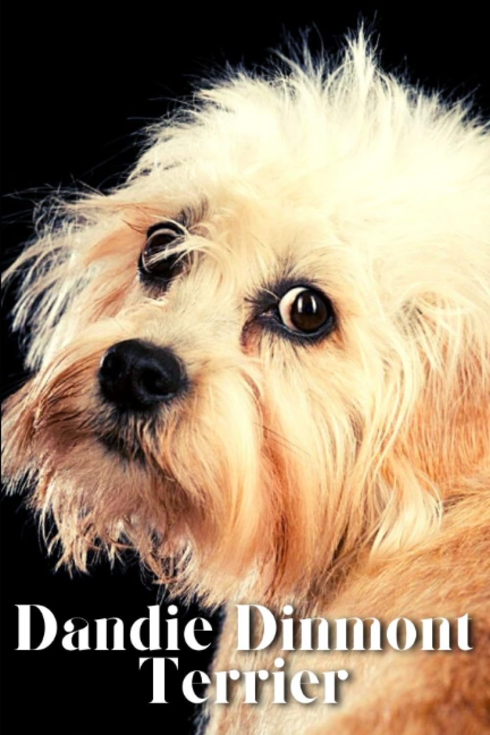 Dandie Dinmont Terrier: Dog breed overview and guide