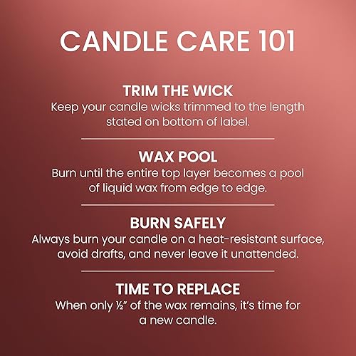 Miniatura 5 de Yankee Candle Sparkling Cinnamon Signature - Vela perfumada en tarro grande de 20 onzas, de dos mechas, más de 60 horas de combustión, aroma de