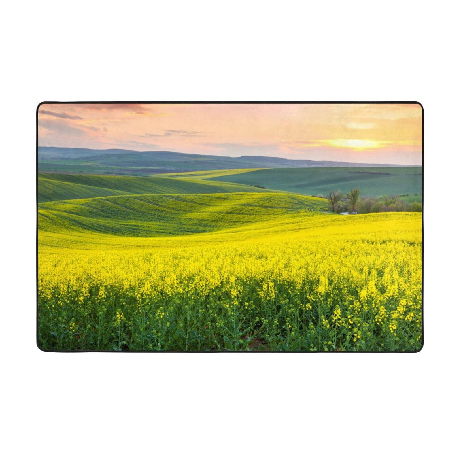 Tapis de salon paysage de printemps frais pour décorer une salle de jeu