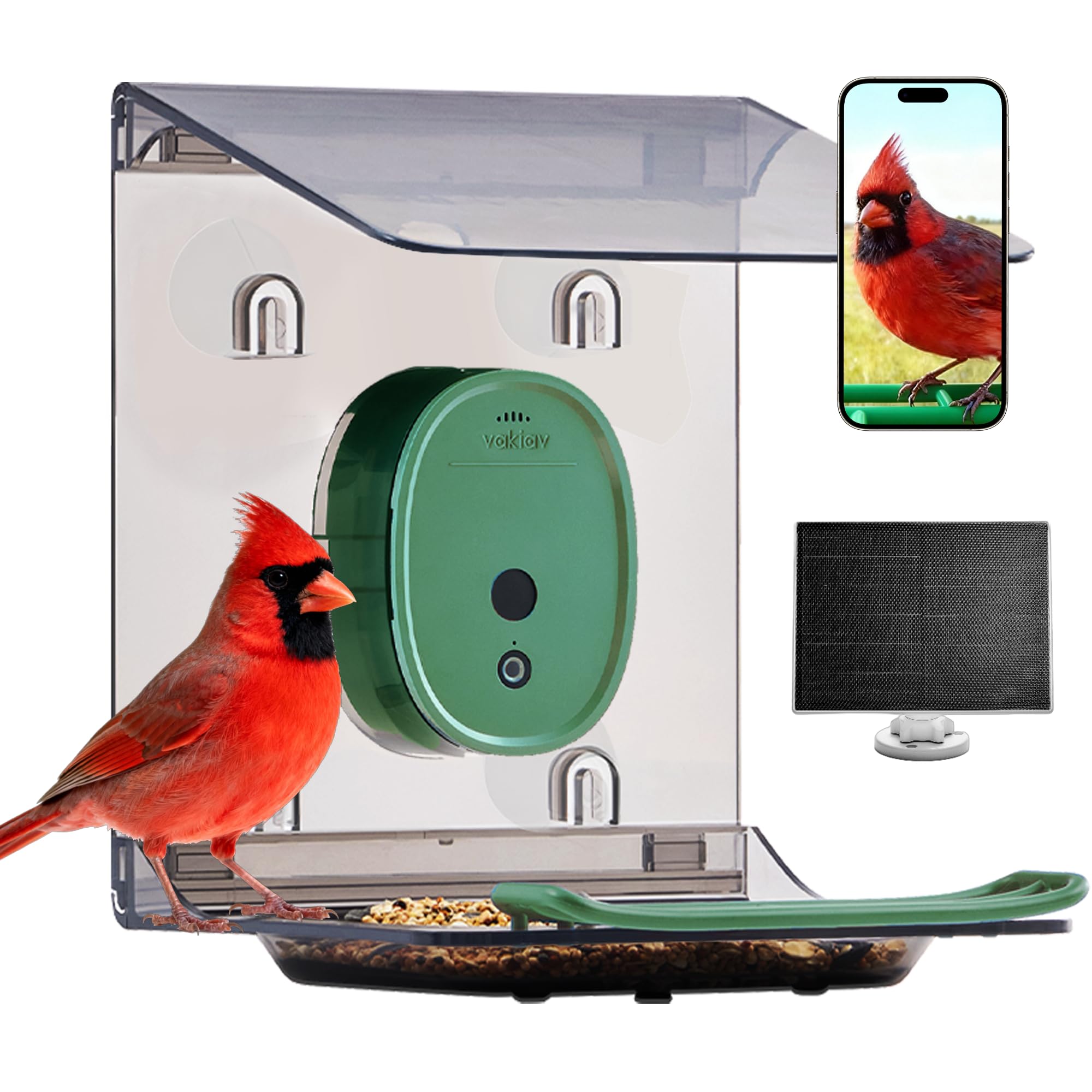 Comedero Inteligente para pájaros con cámara alimentada por energía Solar, transmisión en Vivo de Video HD 2K, identificación de Especies de pájaros, Enlace a través del transmisor de señal