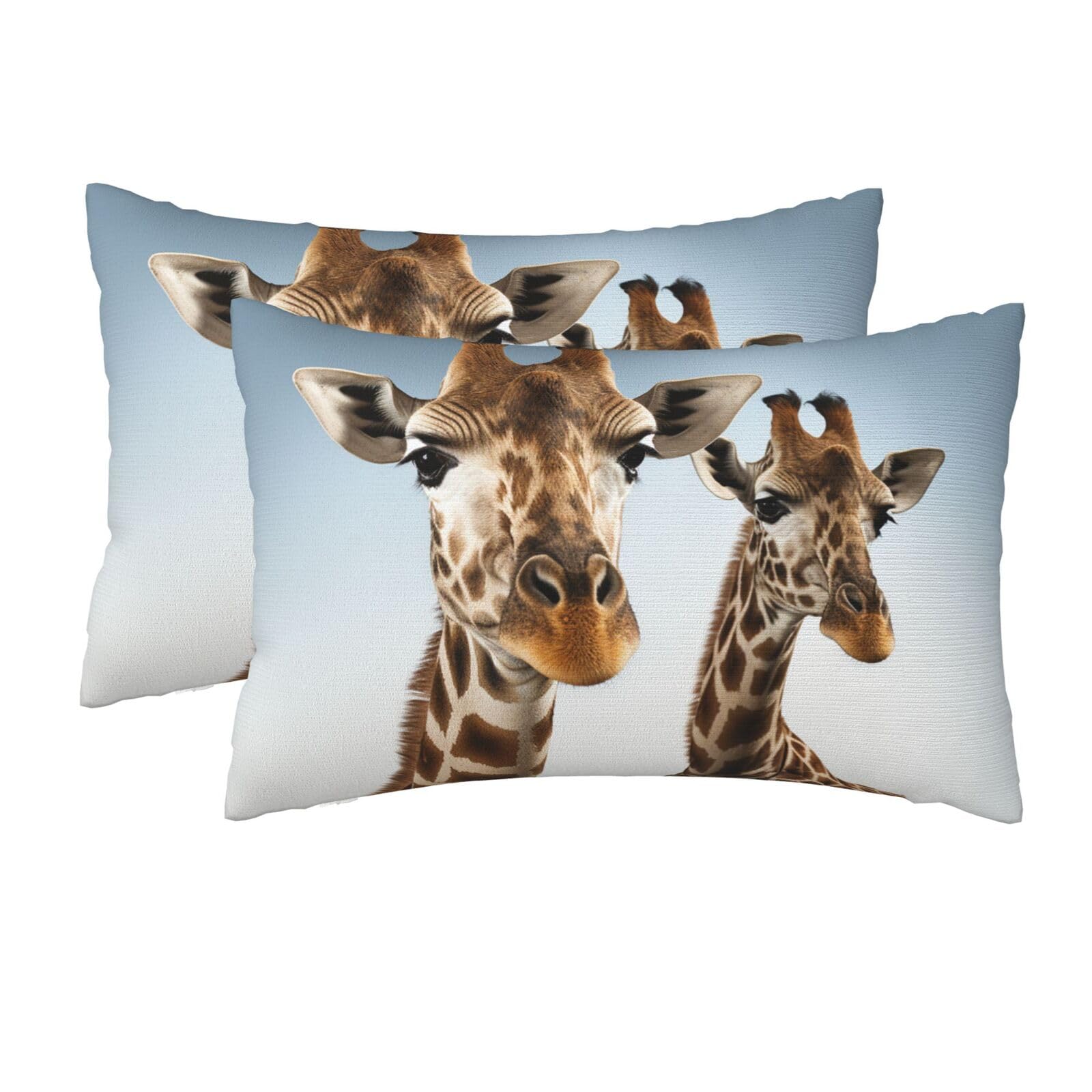 2 Pack Queen Pillow Cases with Hidden Zipper, Soft Breathable Pillow Covers for Hair and Skin, Necks of Giraffe Pillowcases 20"x30" Bed Pillow Protectors Cover for Sleeping Gifts