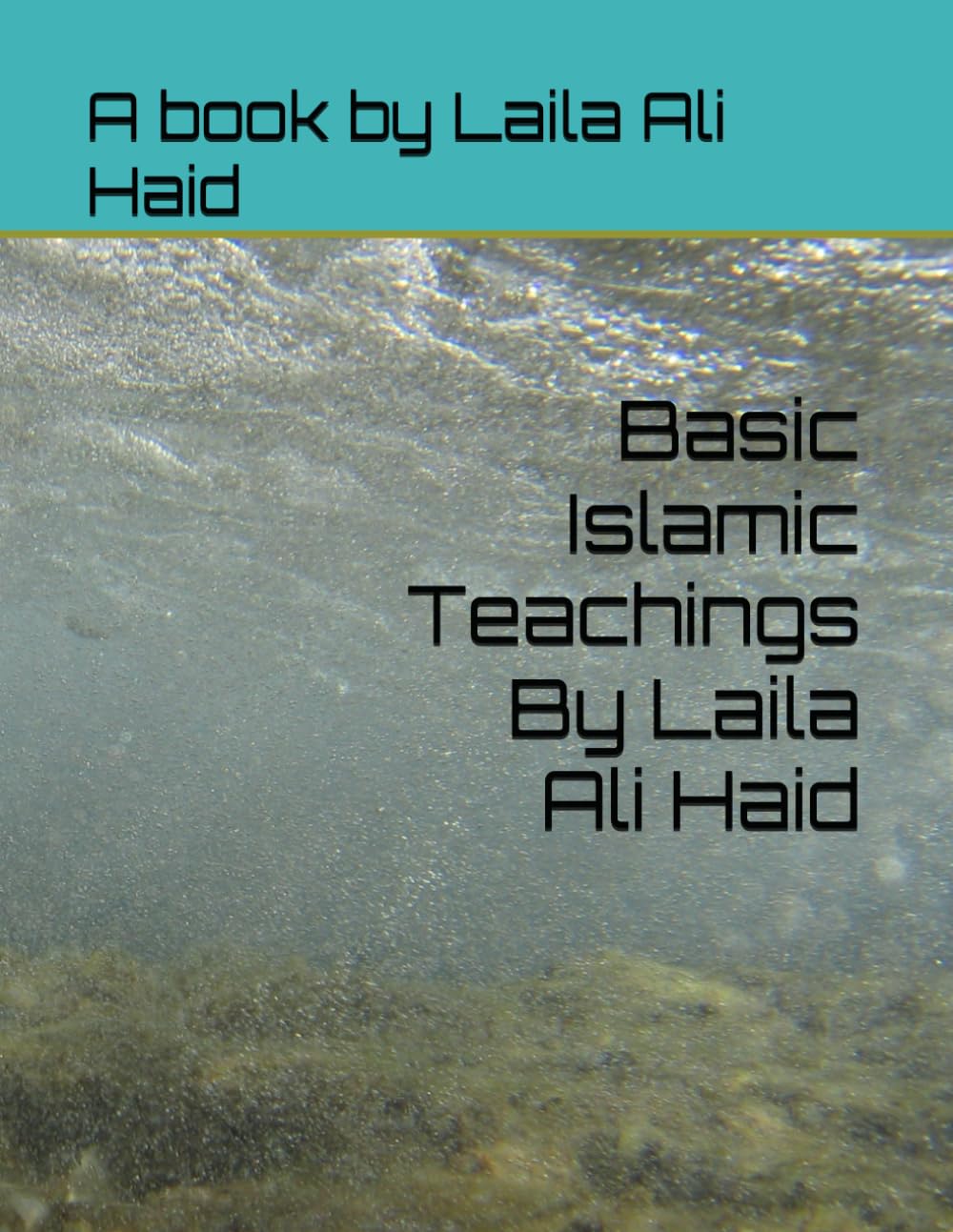 Basic Islamic Teachings By Laila Ali Haid