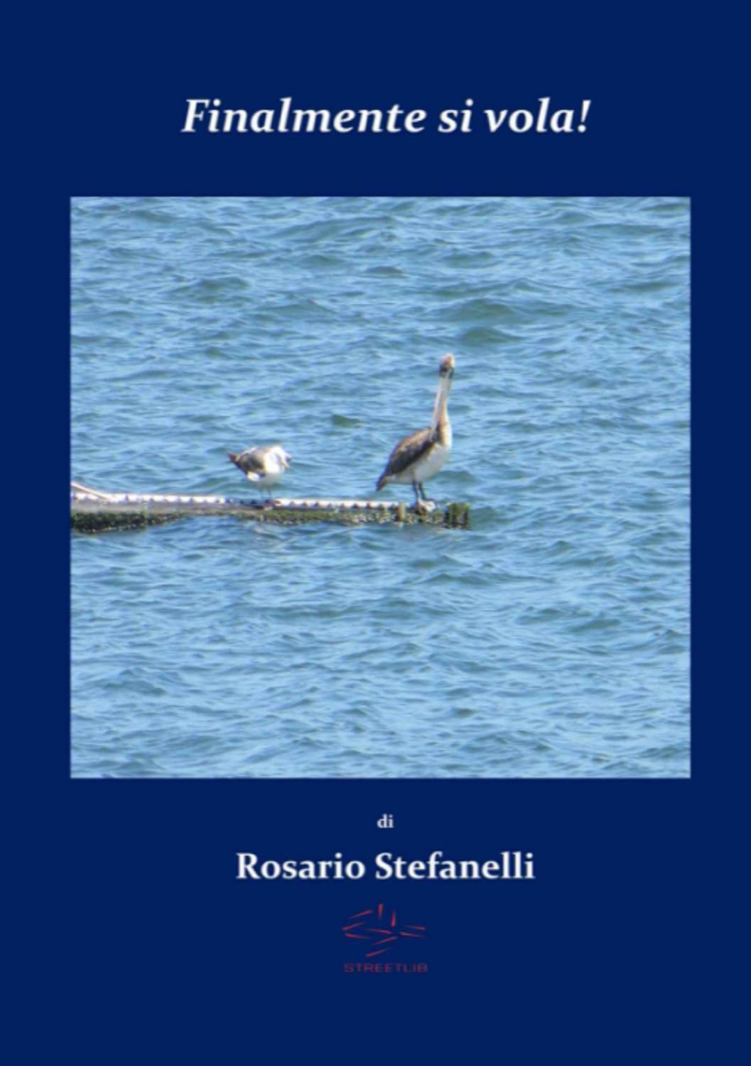 Finalmente si vola! (Italian Edition)