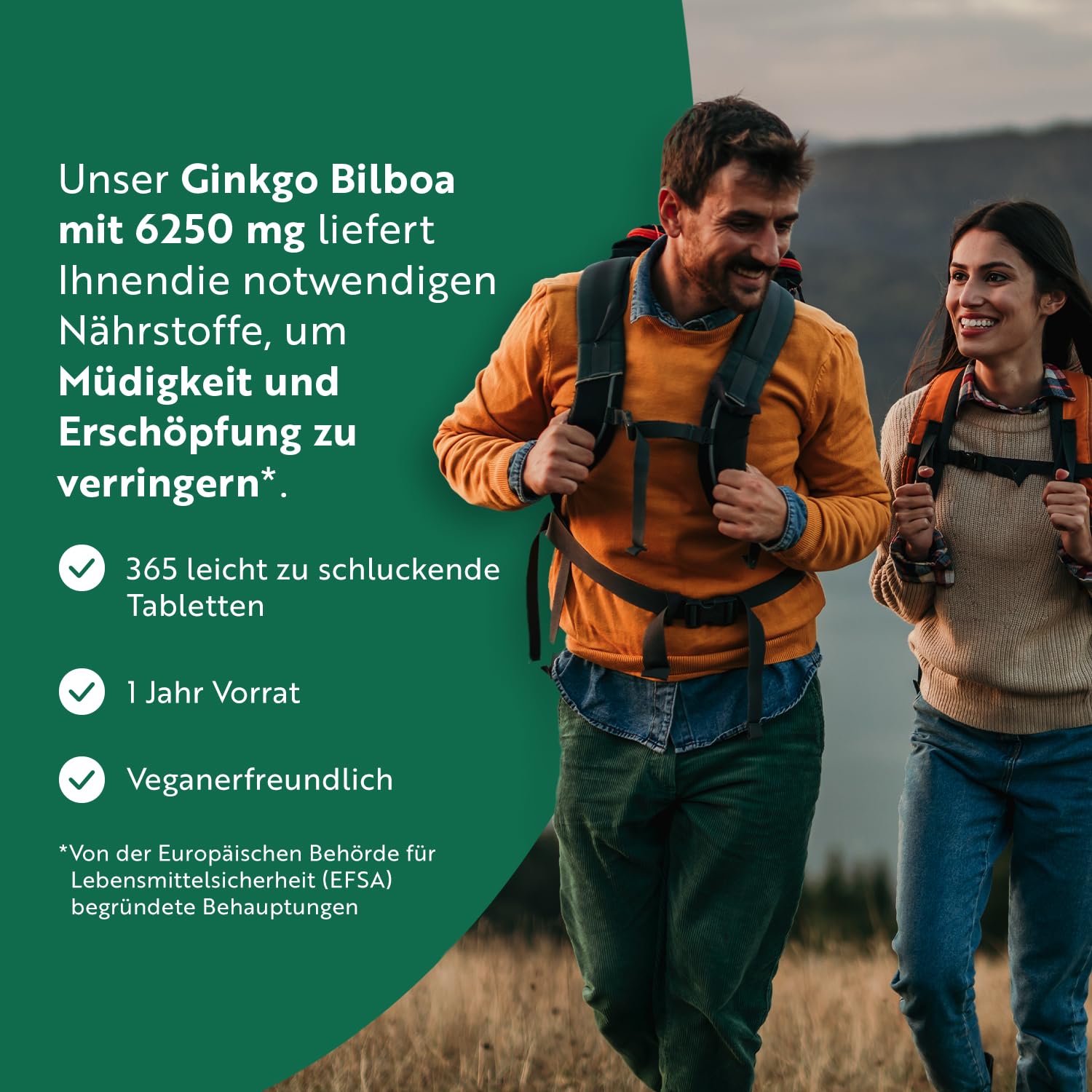 Ginkgo Biloba 6250 mg - 365 vegan Tabletten für 1 Jahr - Hochdosiert und premium Qualität Gingko - Ginko Extrakt hochkonzentriert - Extrakt 50:1 - Enthält 24% Flavonoglykoside - Nutravita