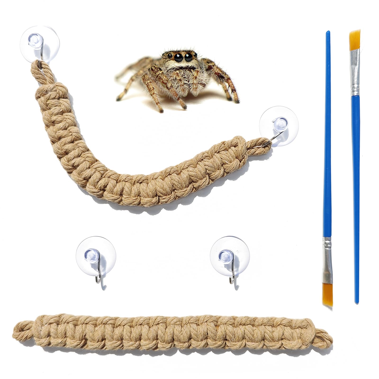 CYG&CL 2 Pack Jumping Spider Enclosure Climbing Toys, Hanging Jumping Spider Rope Bridge, Jumping Spider Accessories, Habitat Decor for Small Reptiles and Amphibians