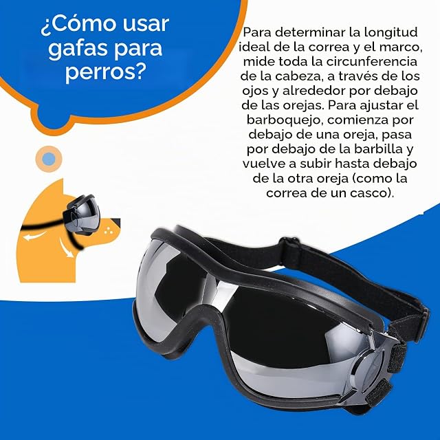 Foto 7 de 8 de NVTED Gafas de Sol para Perro, protección UV, protección contra el Viento, protección contra el Polvo