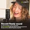 Lewitt XLR capacitor microphone for vocal instrument recordings and streaming - LCT 240 PRO professional capacitor capsule microphone holder and wind protection - perfect for home recording (black)