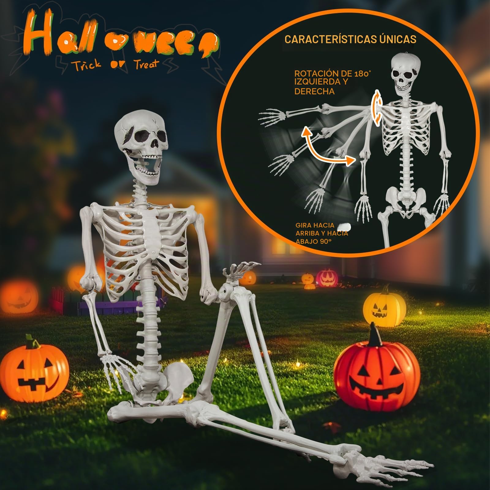 Esqueleto de Halloween de tamaño Natural, 180 cm, Esqueleto de Cuerpo Entero con articulaciones móviles para Accesorios de Halloween, decoración de Fiesta Espeluznante (2piezas)