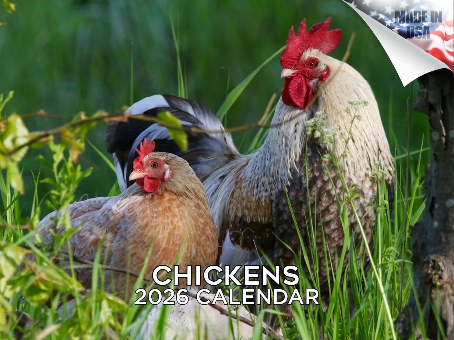 Calendario 2024 2025 de pollos – Bonito calendario mensual de pared de animales de granja – 12 x 18 pulgadas abierto – Papel grueso que no se corre – Regalo – Planificador académico para profesores,