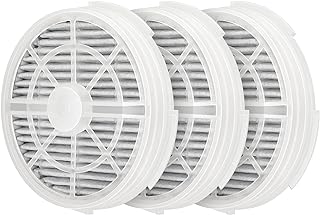 GL2103 True HEPA Replacement Filter for RIGOGLIOSO GL2103, JINPUS GL-2103, LTLKY 900S Air Purifier, 2-in-1 True HEPA Filters and Activated Carbon Filters (3-Pack)