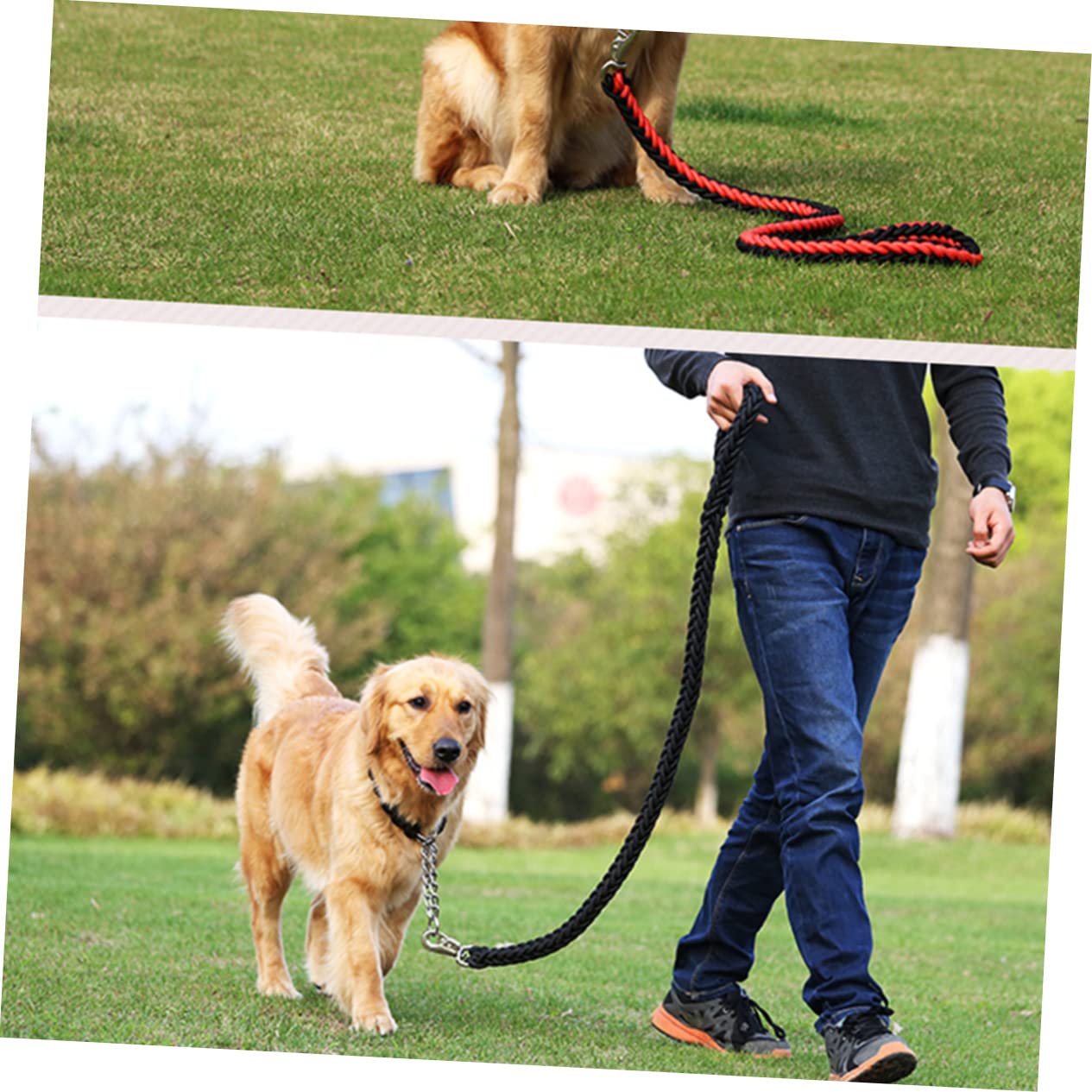 Hundeleine mit Metall Reflektierende 5 Stück-Pack aus Nylon für Hund