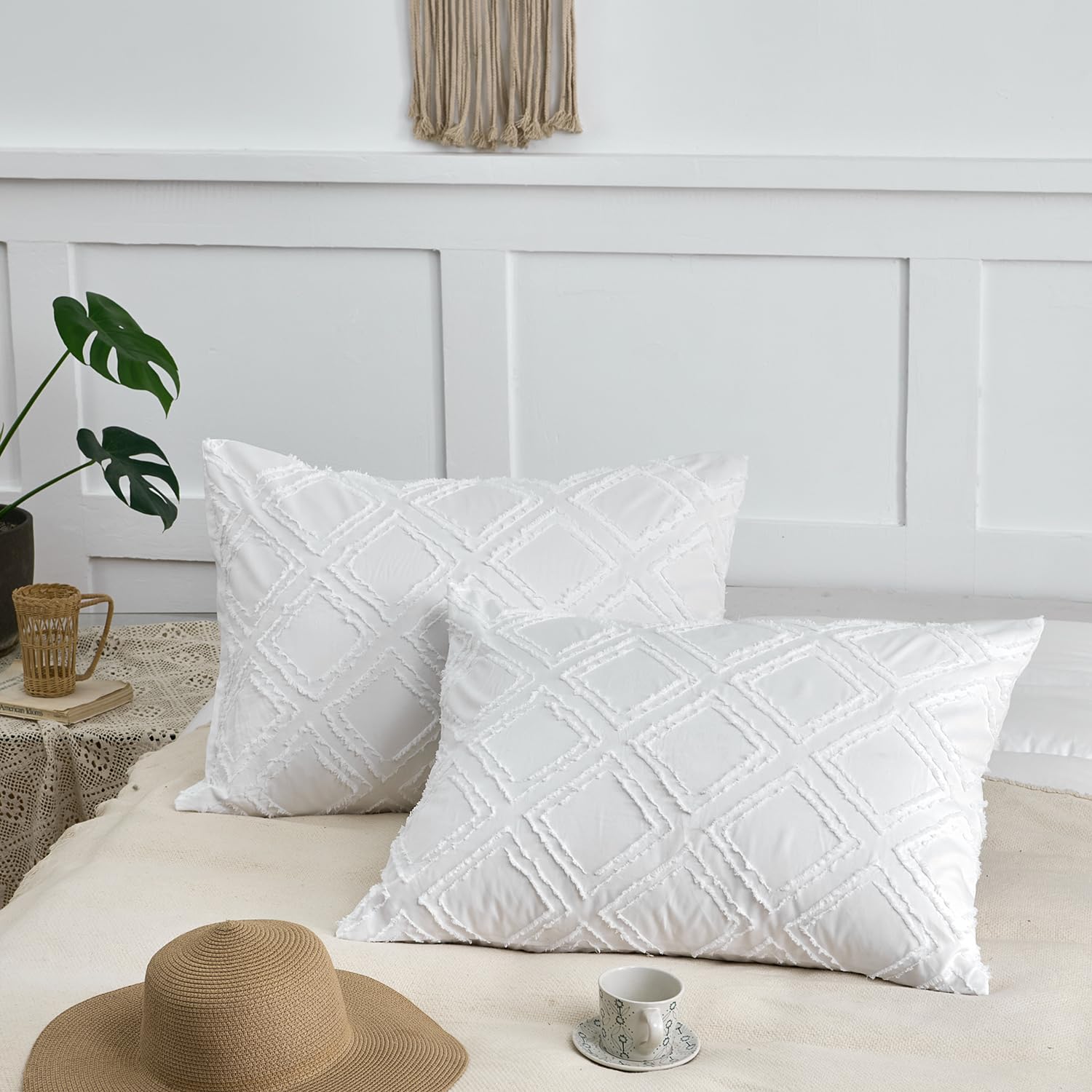 Amazon.com: xuan dian Standard Pillow Shams 2 Pack, Standard Size ...