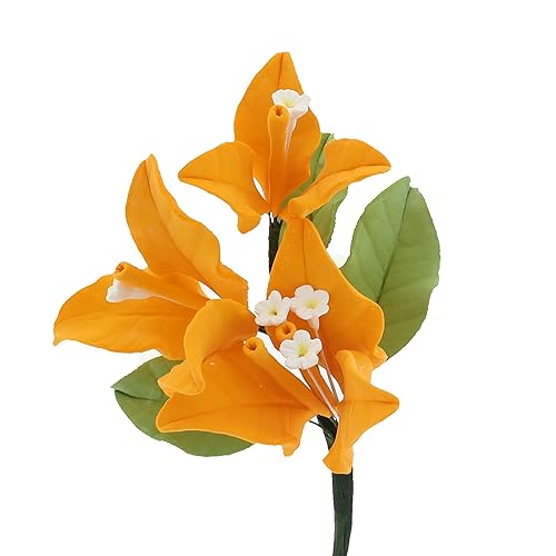 Global Sugar Art Exquisitas flores de buganvilla de color amarillo dorado, 6 unidades por Chef Alan Tetreault (amarillo dorado)