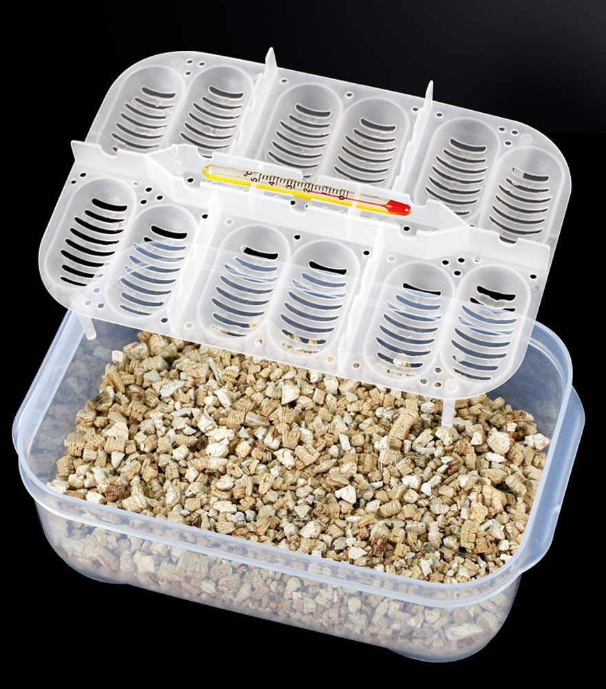 Amazon | OMEM 爬虫類 飼育ケースセット インキュベーションボックス