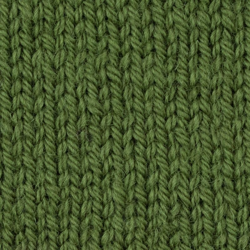 West Yorkshire Spinners ColourLab Aran 1177 Moss Green