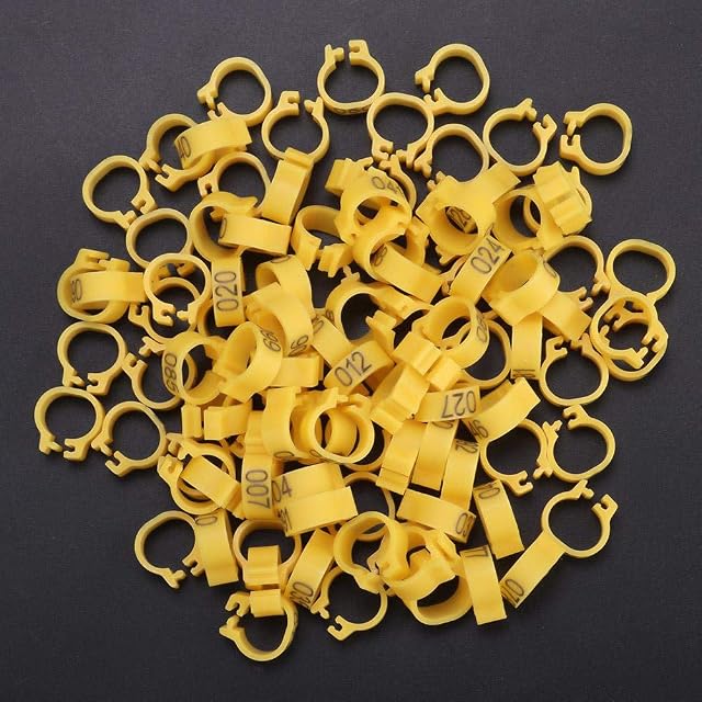 Foto 2 de 6 de HEEPDD Bandas para patas de pájaros, anillos numerados de plástico de 8 mm para pollos, palomas, loros