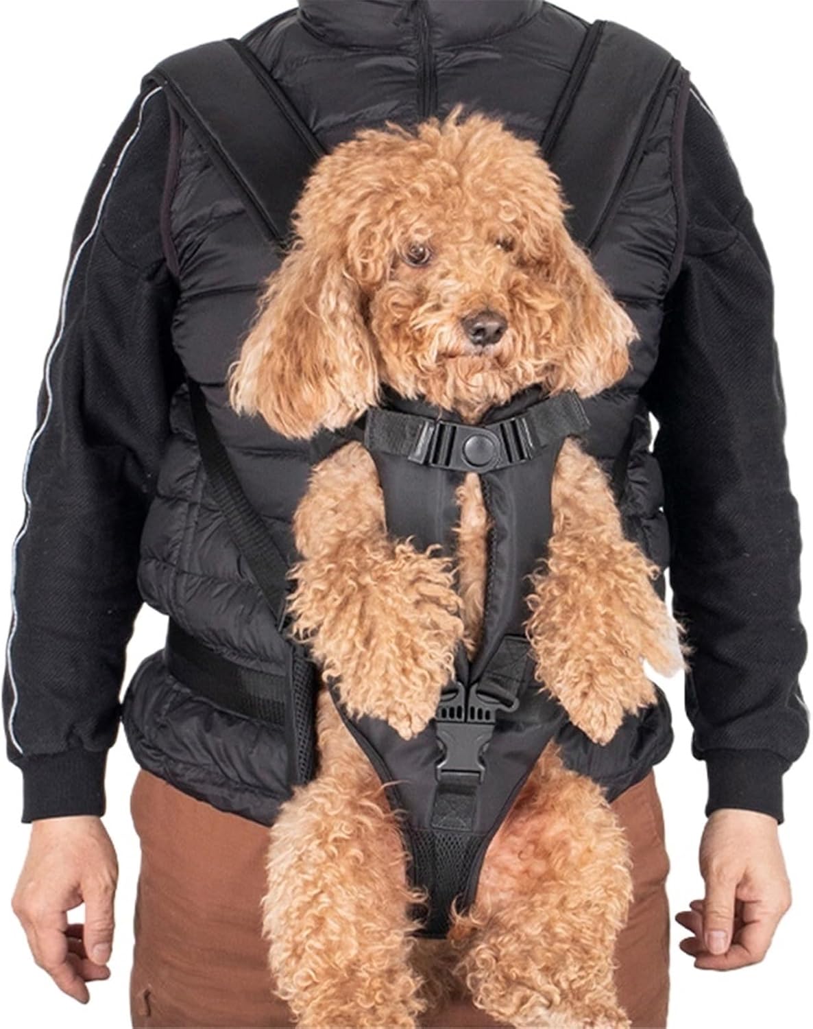 Pet Front Dog Backpack - Adjustable for Hiking and Cycling(M)