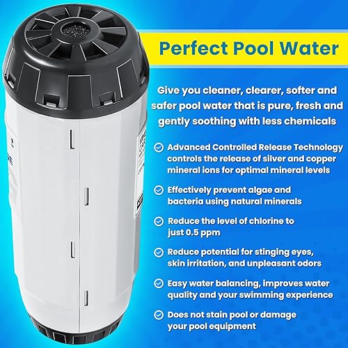 Miniatura 4 de Repuesto para cartucho mineral Nature2 G45 W28145 N2CG45 W26745 para todos los recipientes desinfectantes enterrados Zodiac Limited y Professional G