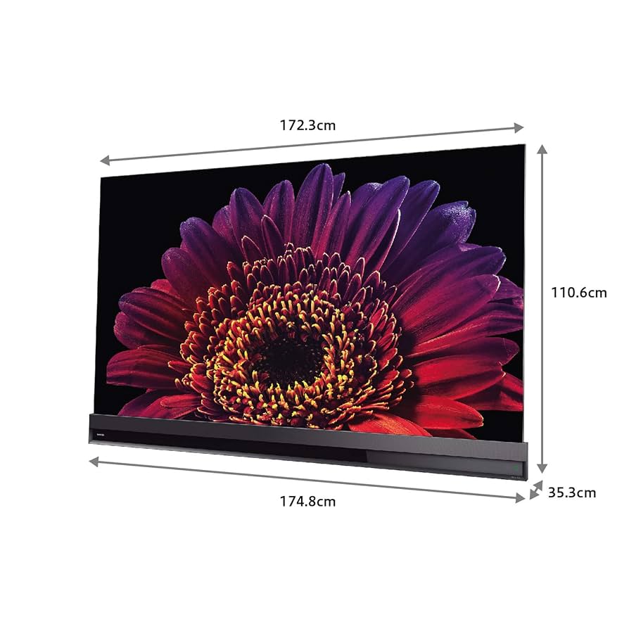 77インチ　有機ELテレビ 東芝レグザ史上最高画質を実現した、77インチ有機ELテレビ