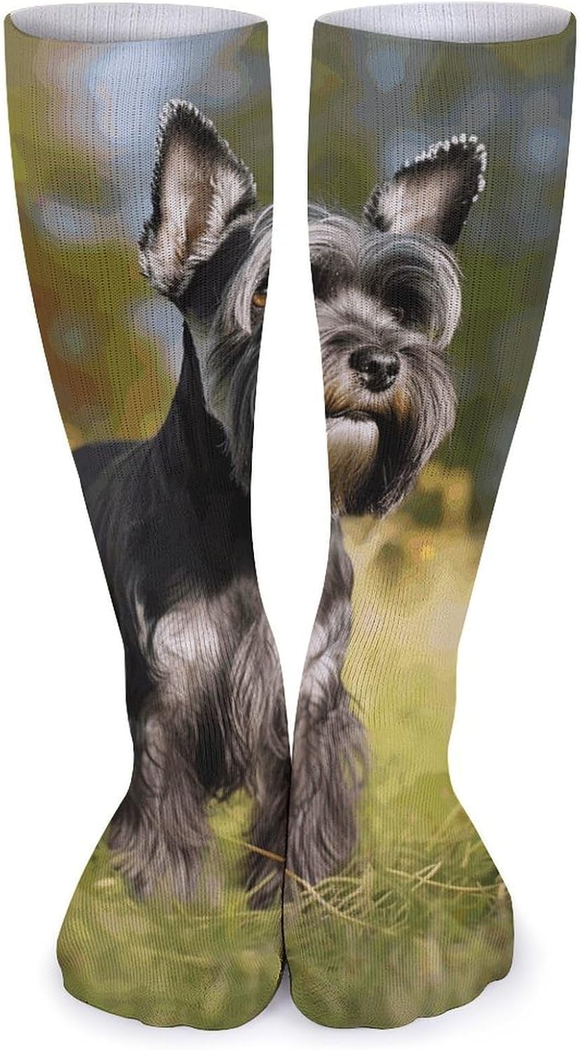 Breathable Crew Sock, Moisture Wicking, Athletic Calf Socks, Cozy | Schnauzer Dog on The Grass Compression Socks for Women Men, Lightweight High Work Socks for Business, Casual