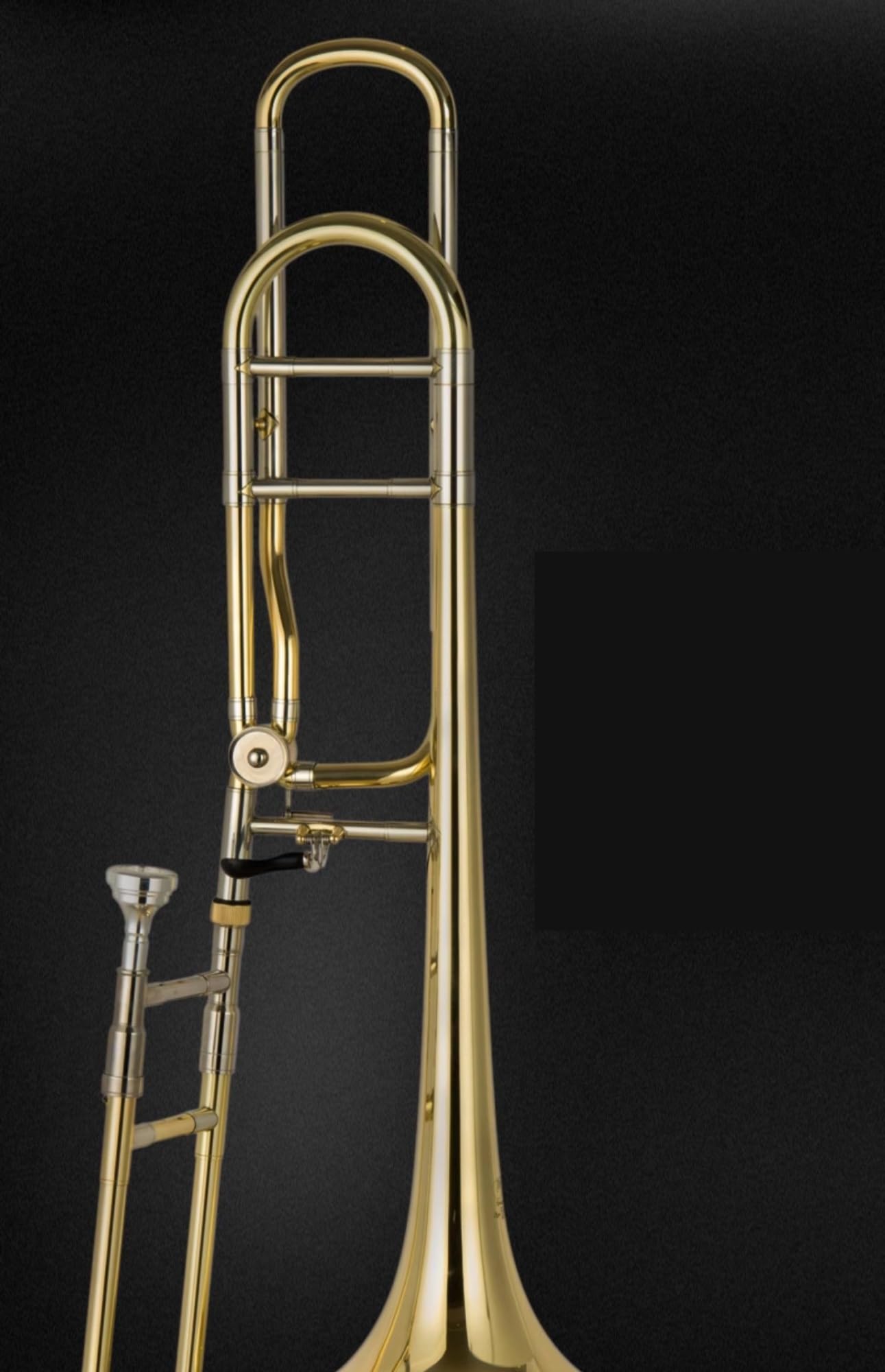 Tenor Transponierte Posaune Instrumentenspezifisches Blech Profiposaune