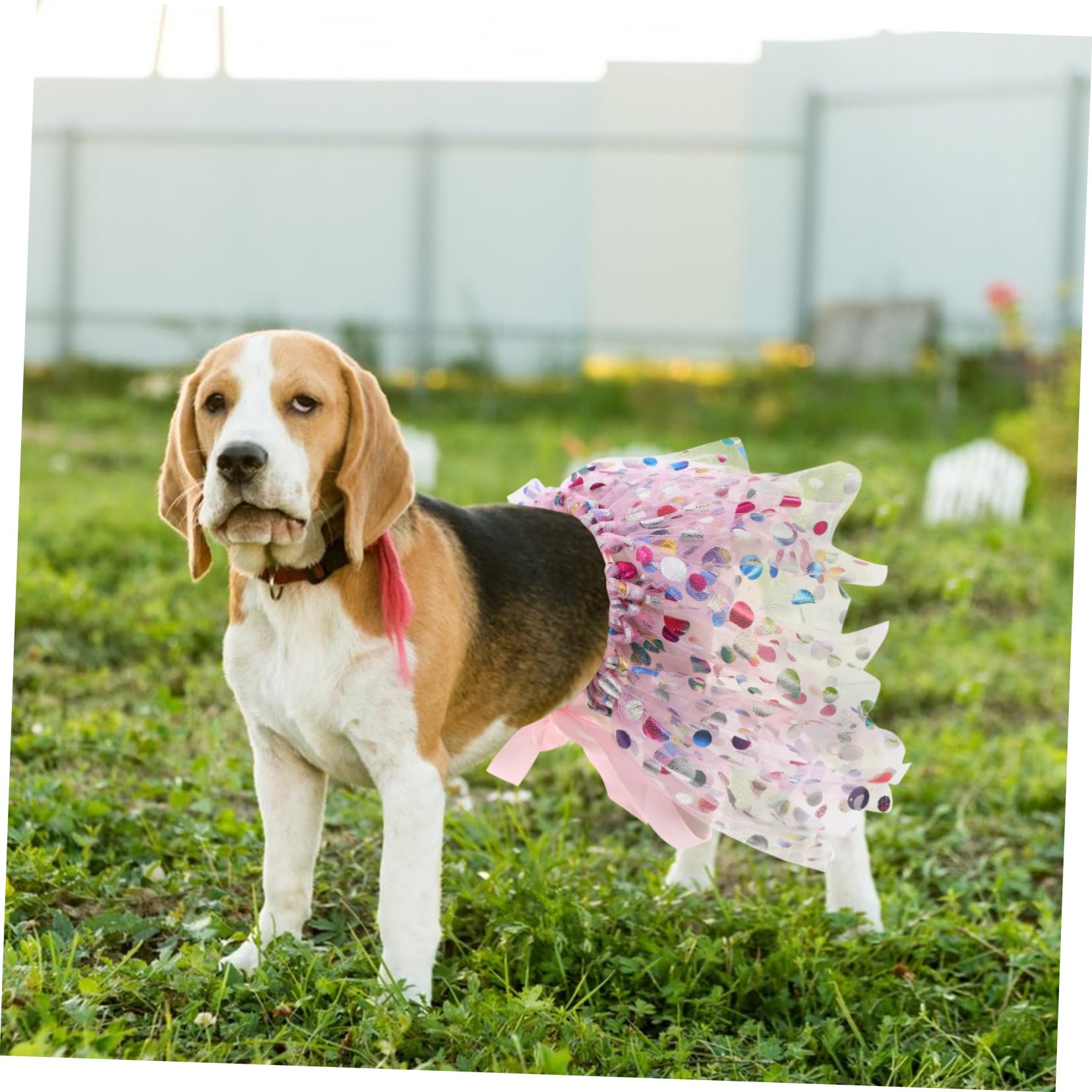 BESTonZON Tutù per cani regolabile traspirante tulle gonna ballerina taglia piccola media grande