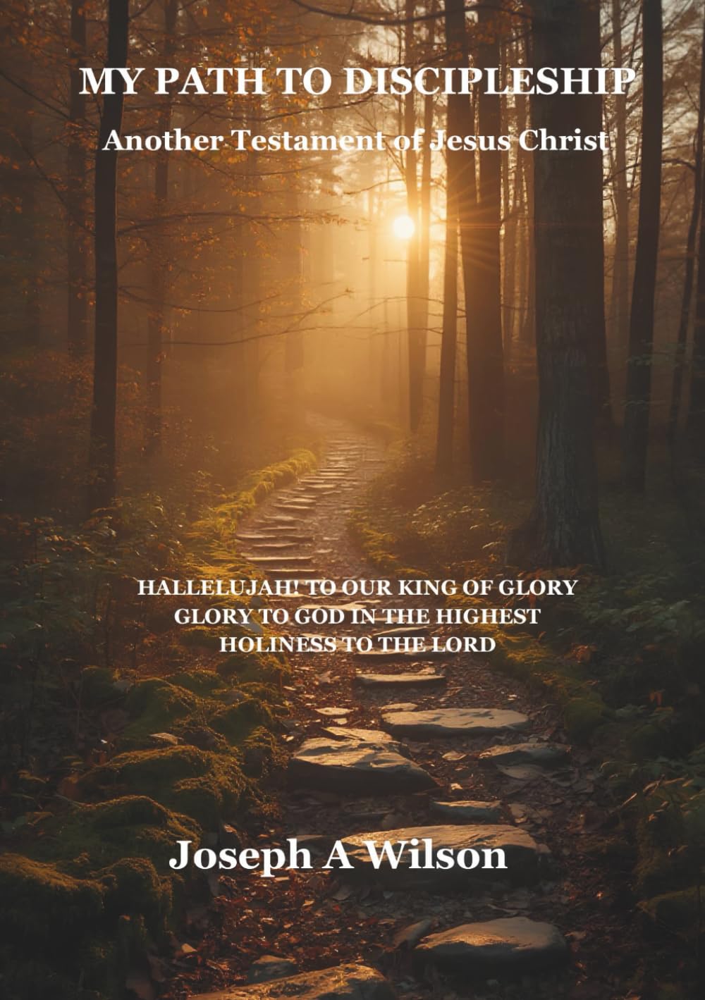My Path To Discipleship: Another Testament Of Jesus Christ