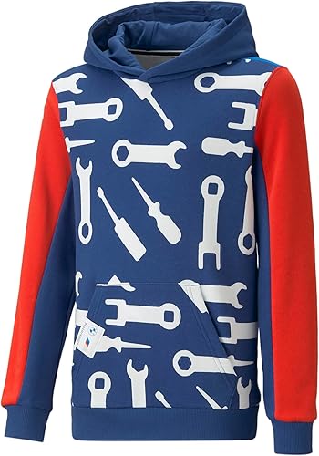 PUMA Sudadera con capucha BMW M Motorsport para niños