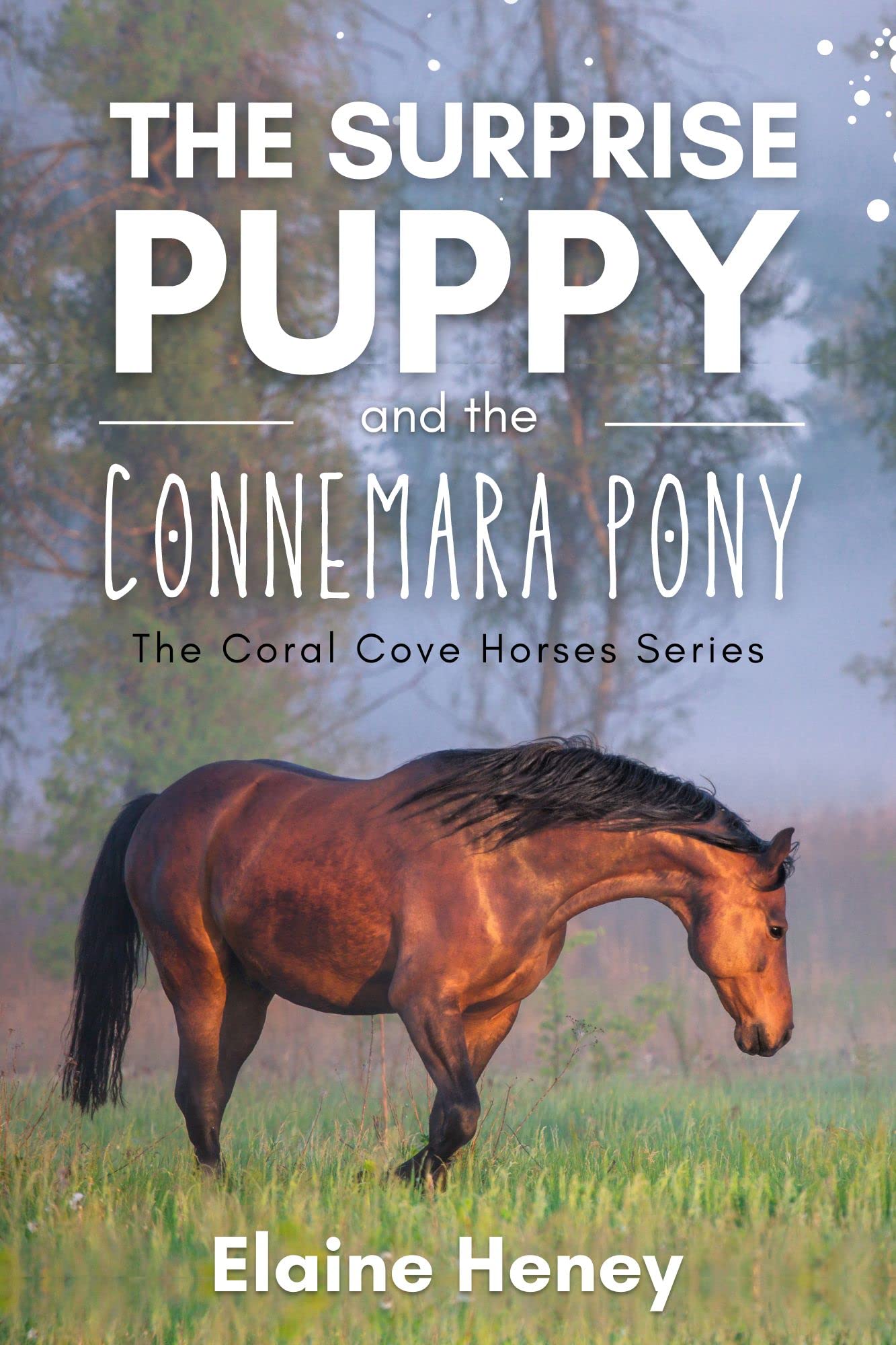 The Surprise Puppy and the Connemara Pony - The Coral Cove Horses Series (Coral Cove Horse Adventures for Girls and Boys Book 3)