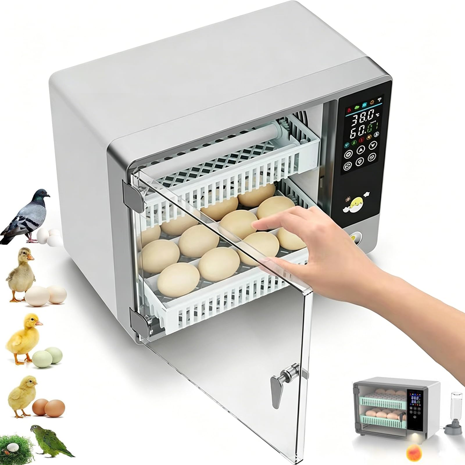 Incubadora automática para aves de corral, 24 huevos, control de temperatura y humedad, pantalla táctil para pollos, gansos, codornices y pájaros, ideal para granjas y criaderos