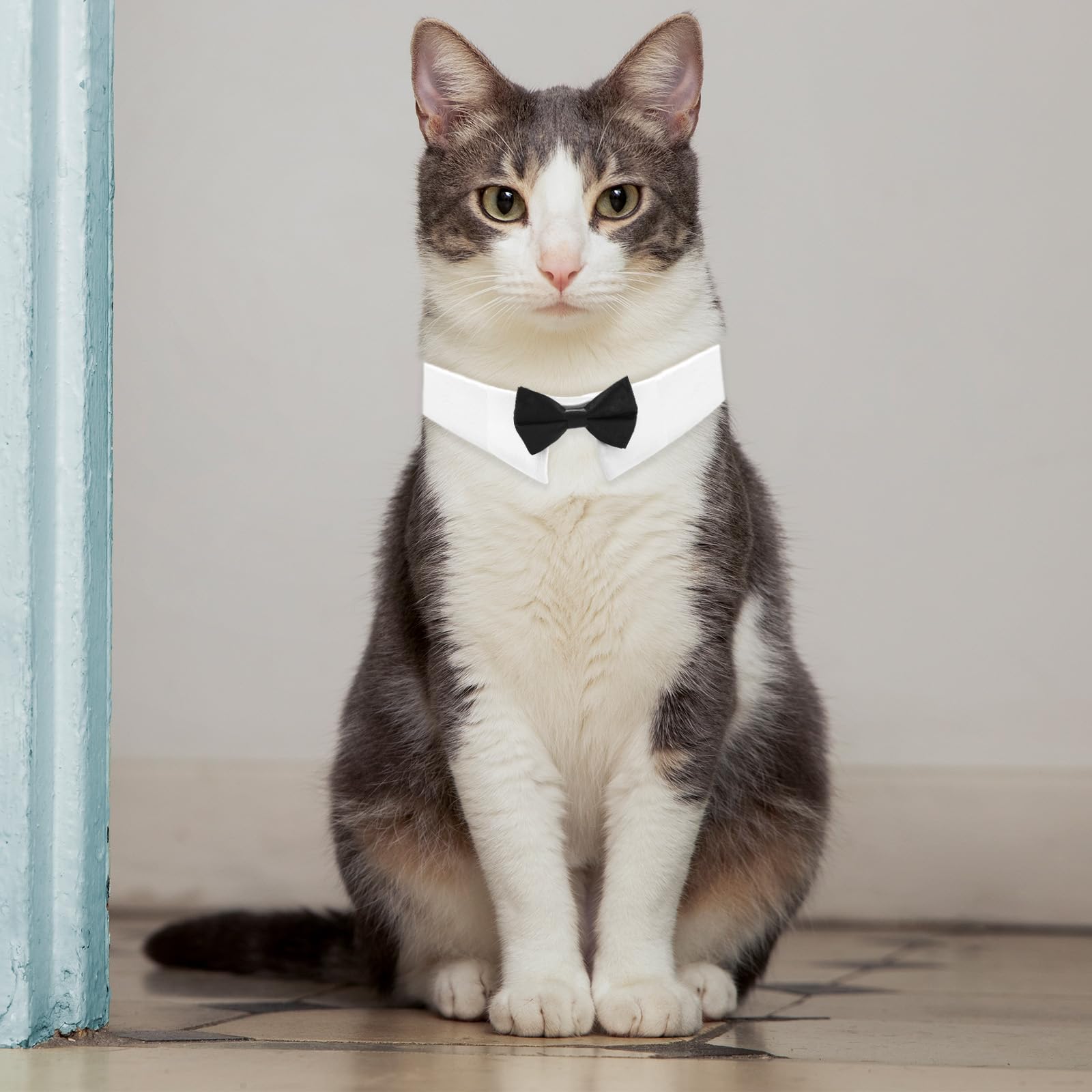 tuxedo bow tie cat collar