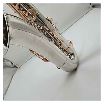 金メッキ サックスマウスピース Amazon | アルトサックス サックス用マウスピース キャップ