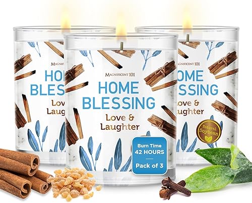 Magnificent 101 Juego de 3 velas de larga duración para el hogar, 3.5 onzas cada una, 42 horas de combustión, vela de cera de soja para limpieza
