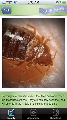 Bed Bugs 101